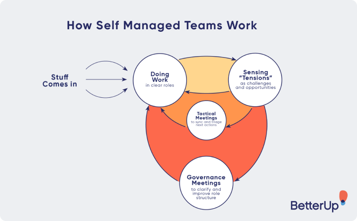 How self managed teams work